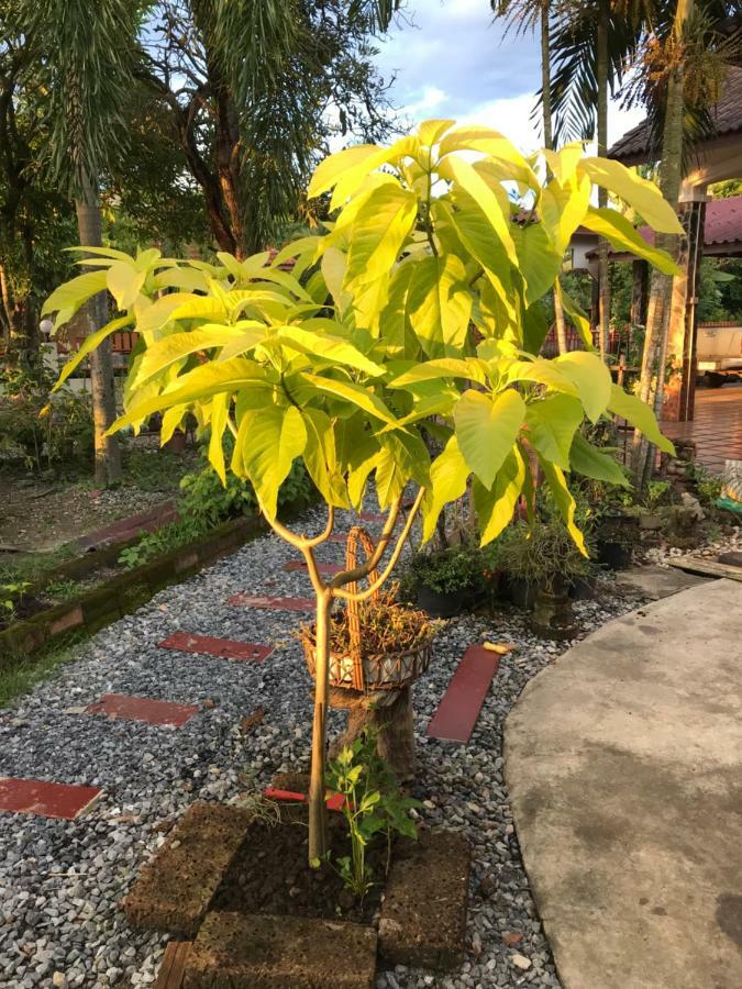 Grandma'S House Apartman Nakhonnajok Kültér fotó
